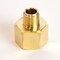 Homeplus+ ATC 1/4 in. FPT X 1/4 in. D FPT Brass Reducing Coupling 6JC120810701039 - alternate 2